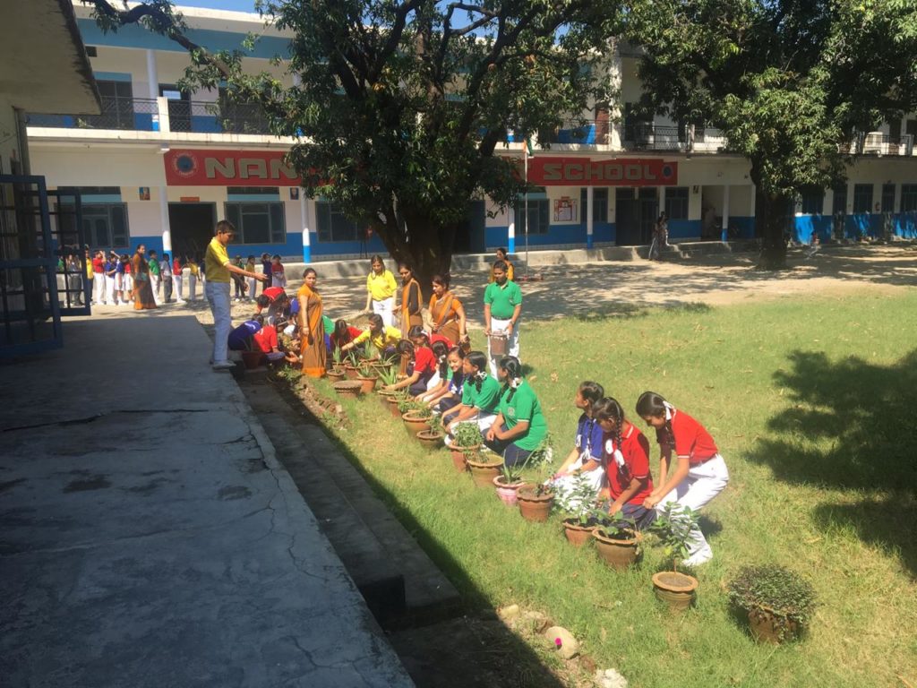 Tree Plantation